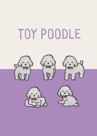 ゆるっとシルバートイプードルさん