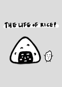 The life of rice