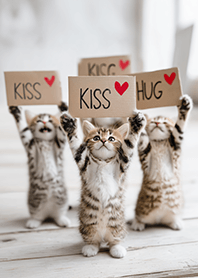 ♡Permintaan Manis Anak Kucing♡