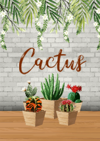 Cactus House...