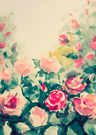 Beautiful rose flower(R4289)