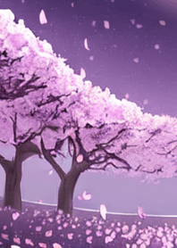 月光之夜樱花＃CI31。