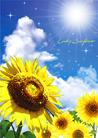 Bring good luck Blue sky & Sunflowers 7*