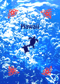 Hawaii -Sea&Honu-