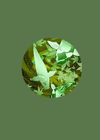 Japanese carp green carp