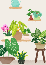 觀葉植物 7