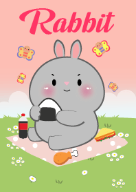 Rabbit Love Picnic Theme
