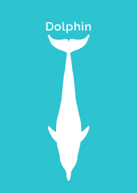 F Dolphin