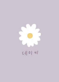 korea daisy(dusty purple)#JP