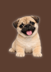Plush Pug Theme Brown 01