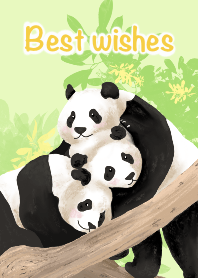 熊貓胖妮家族的祝福1