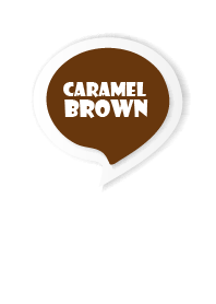 Caramel Brown Button In White V.3 (JP)
