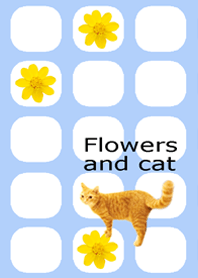 お花と猫ちゃん