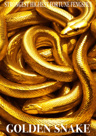 Golden Snake Lucky 60