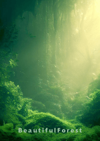 Beautiful Forest-HEALING- 12