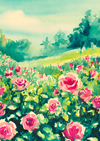 Beautiful rose flower(R4632)