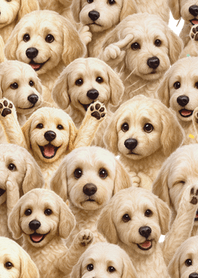 可愛！ 拉布拉多貴賓犬主題