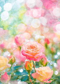 Beautiful rose flower(R2854)