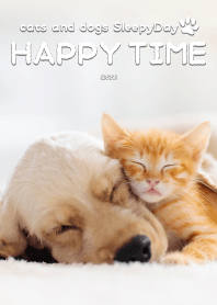 cats and dogs SleepyDay HAPPY TIME