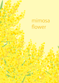 mimoza flower
