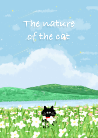 The nature of the cat