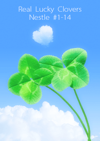 Real Lucky Clovers Nestle#1-14