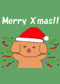 Winter Toy Poodle Theme