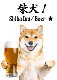 真正的狗模因柴犬/啤酒 W