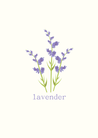 Lavender romantic atmosphere