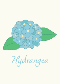 Hydrangea-04*