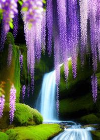 紫藤花の季 eOI7Z