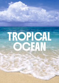 TROPICAL OCEAN THEME 50