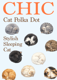 Chic sleeping Cat Polka Dot_brown10