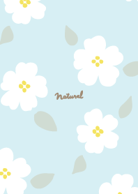 Simple flower adult22 from Japan