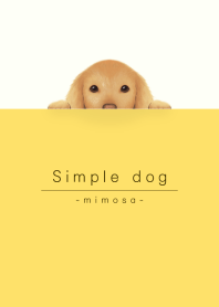 simple dog/mimosa