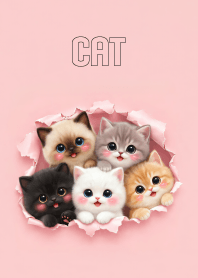 Lovely Cat Gang in Pink Theme