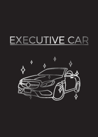 Executive Car SILVER