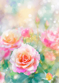 Beautiful rose flower(R1671)