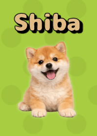 Shiba Inu Plush Theme Green 03