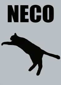 Flying cat 7