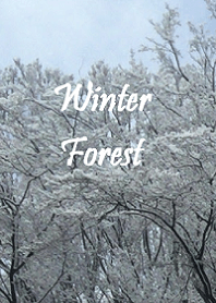 Winter Forest