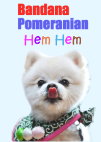 BANDANA Pomeranian -Hem Hem-