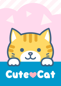 Cute cat(Brown tabby white cat)