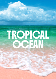 TROPICAL OCEAN THEME 60
