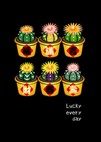 開運吉祥盆栽(護眼黑色)