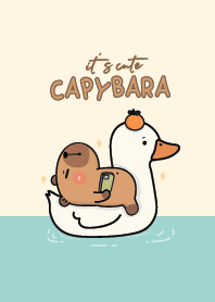Capybara it's cute :-)