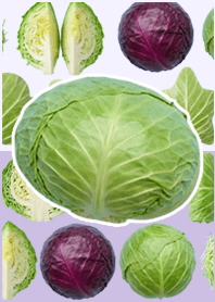 白菜真人表演 丁香紫