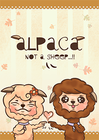 alpaca not a sheep