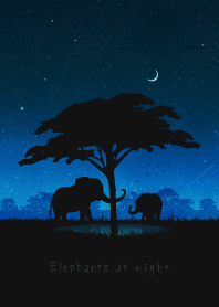 Elephants at night
