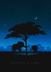 ゾウたちの夜
